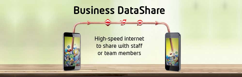Business DataShare High Speed Internet