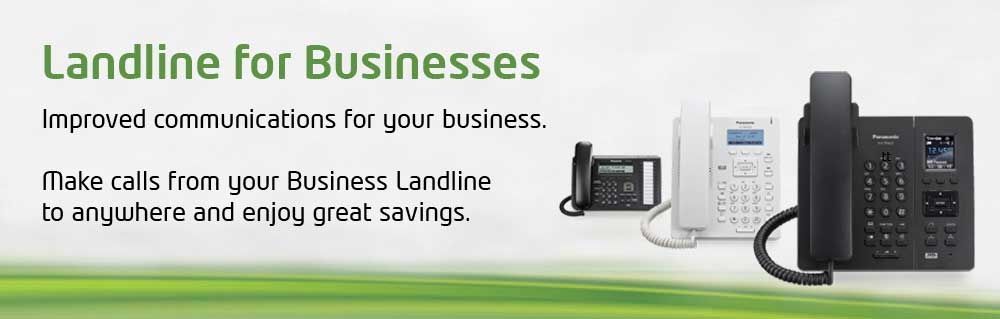 Etisalat Business Landline service